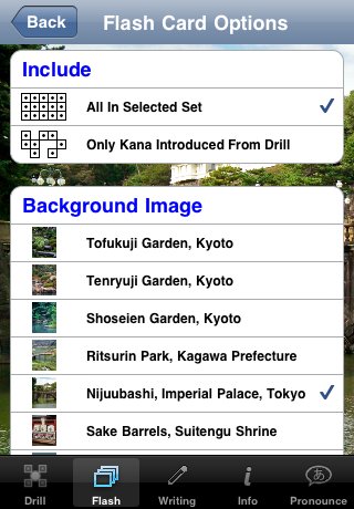 Flash Card Options 2